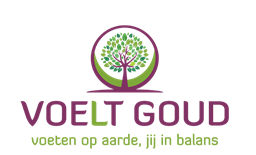 logo voeltgoud 40