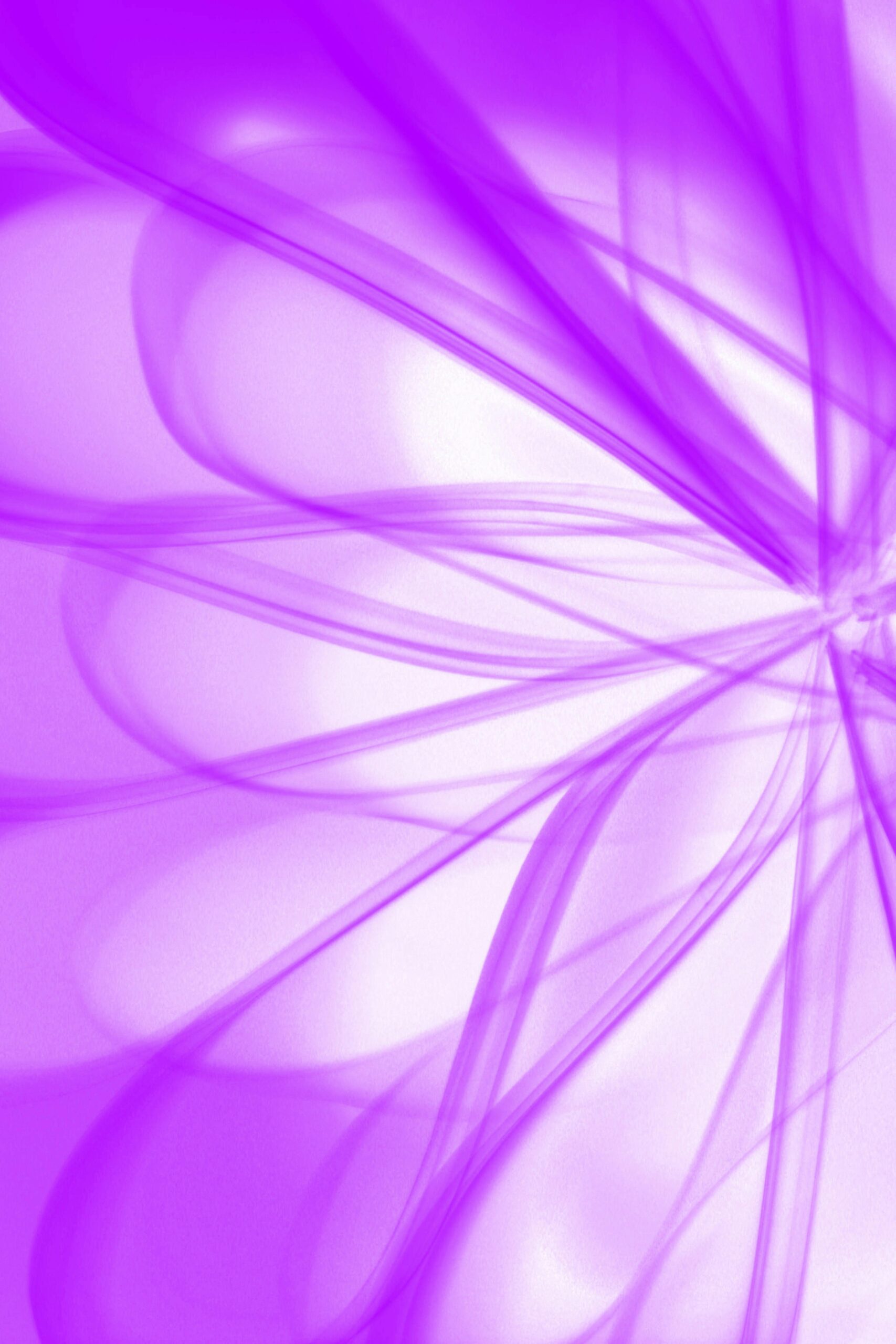 A creative abstract image of purple petals, evoking a floral theme and artistic expression.